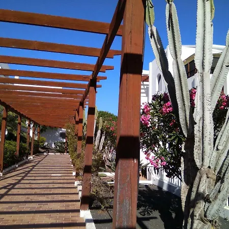 Lanzarote 501 Pistachio Vv