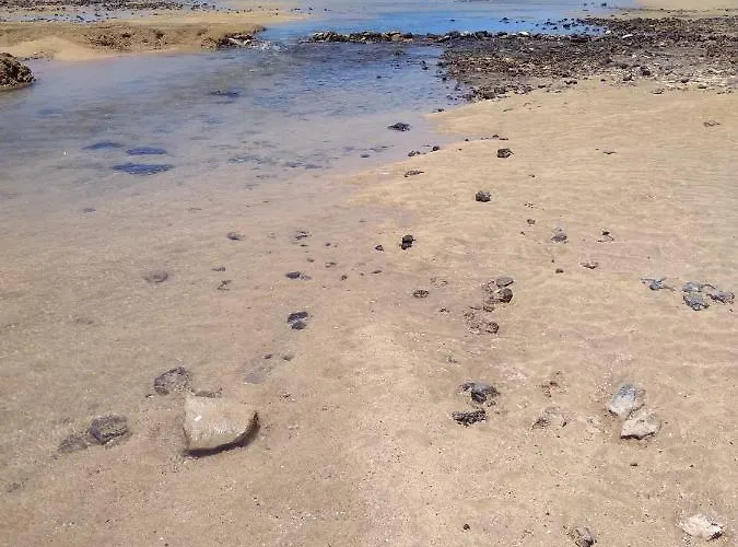 Pistachio Lanzarote Apartment